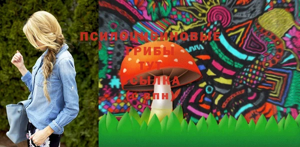 мдпв Медвежьегорск