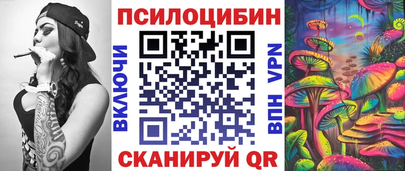 закладка  Троицк  Псилоцибиновые грибы Cubensis 