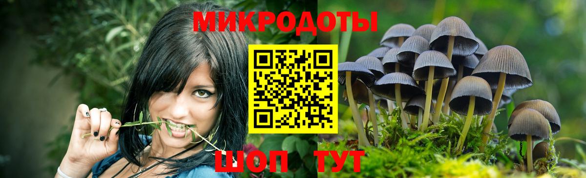 Галлюциногенные грибы GOLDEN TEACHER  Вход с VPN  Троицк  Галлюциногенные грибы GOLDEN TEACHER 